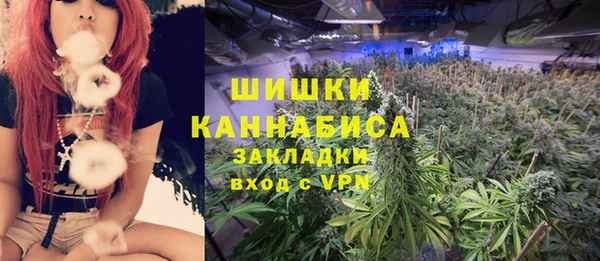 эйфоретик Ветлуга