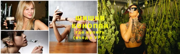 гашик Балахна