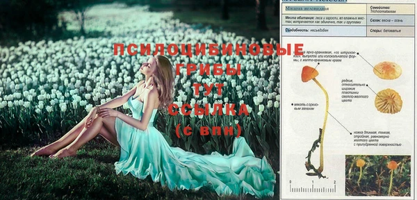 гашик Балахна
