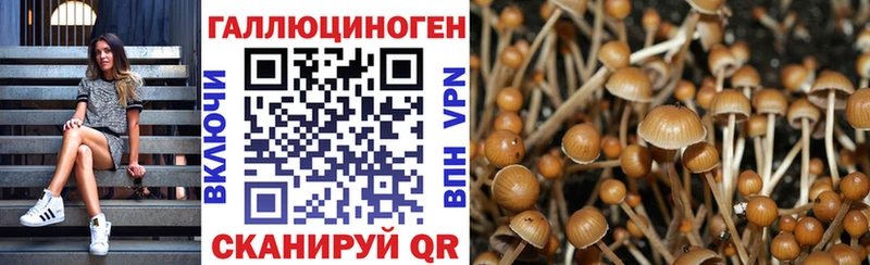 дарнет шоп Кондрово Галлюциногенные грибы мицелий